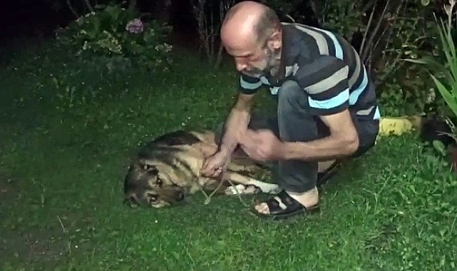 Çocukların gözü önünde köpeği vurdu