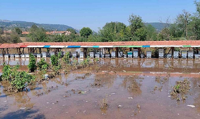 Domaniç'te 80 arı kovanı sular altında kaldı