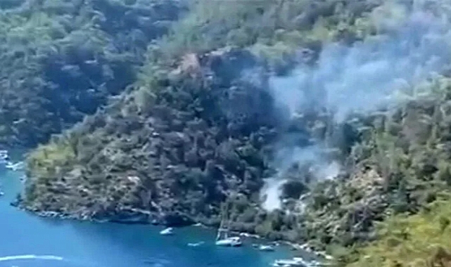 Fethiye'de orman yangını