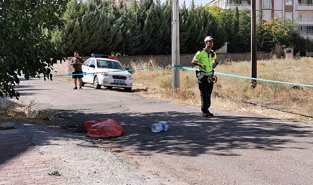 Geri geri gelen kamyonun ezdiği yaşlı kadın öldü