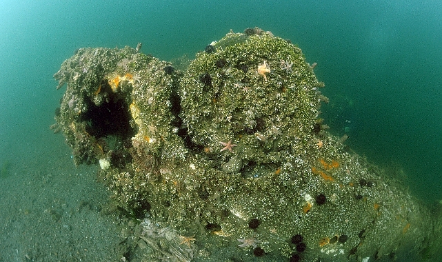 Marmara Depremi'nde Gölcük'te oluşan