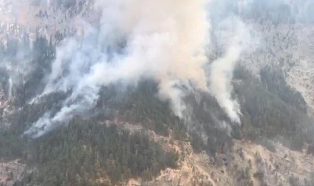 Mersin'deki orman yangınına müdahale ediliyor