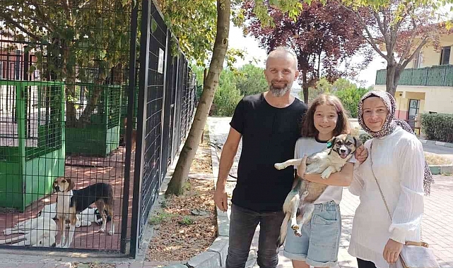 Osmangazi'de 3 can dosta sıcak yuva