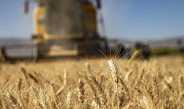 Tarımsal destek ödemeleri başlıyor