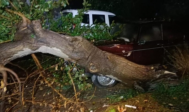 Yalova'da yağmur ve fırtına etkili oldu