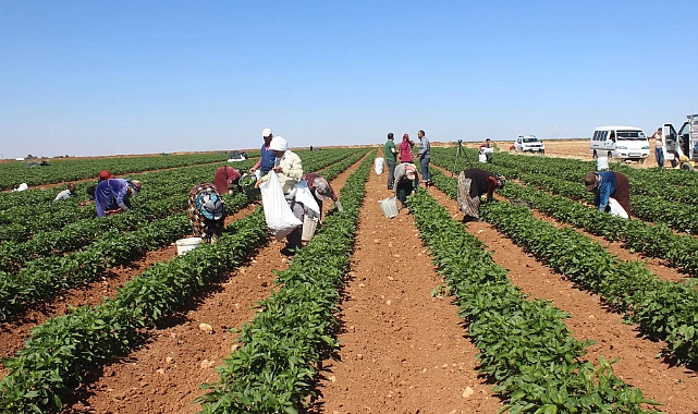 54 milyonluk tarımsal destek ödemeleri bugün çiftçilerin hesaplarına yatacak
