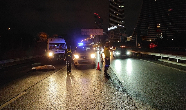 Ataşehir'de yolun karşısına geçerken taksinin çarptığı yaya öldü