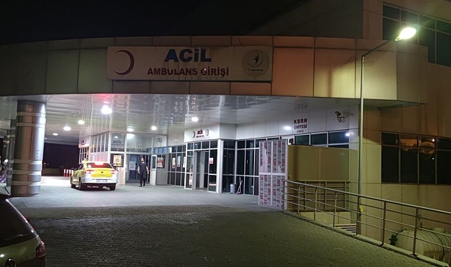 Ayı saldırısına uğrayan ve yaralanan çobanı köpekler kurtardı