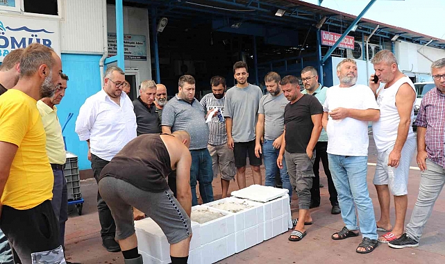 Karadeniz'de tekneler kasa kasa balıkla döndü