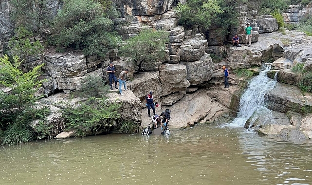 Kocaeli'de kayalıklardan düşen kişi öldü