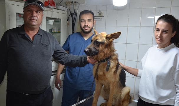 2,5 aydır kayıp köpeği mikroçip sayesinde buldular