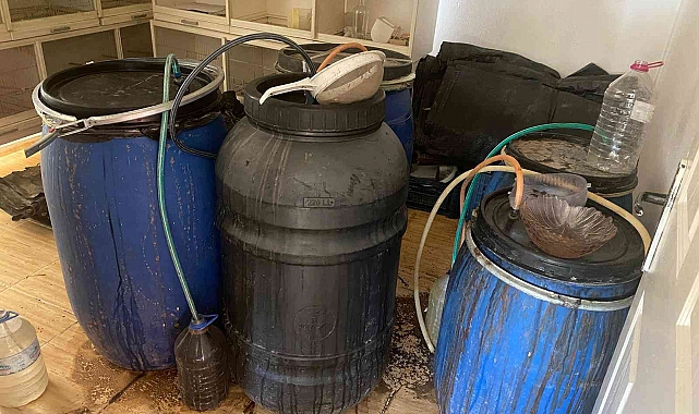 Manisa'da bağ evinde kaçak şarap ele geçirildi