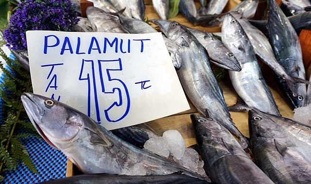 Palamut bolluğu fiyatlara da yansıdı