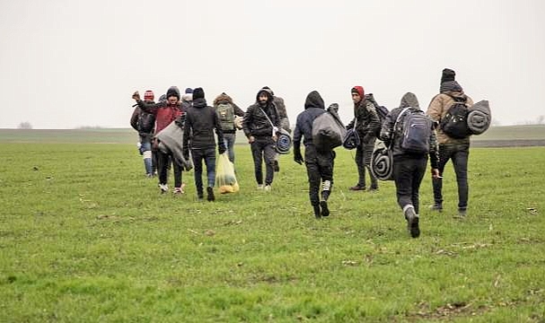 Sırbistan polisi, Macaristan sınırında 200 göçmen yakaladı