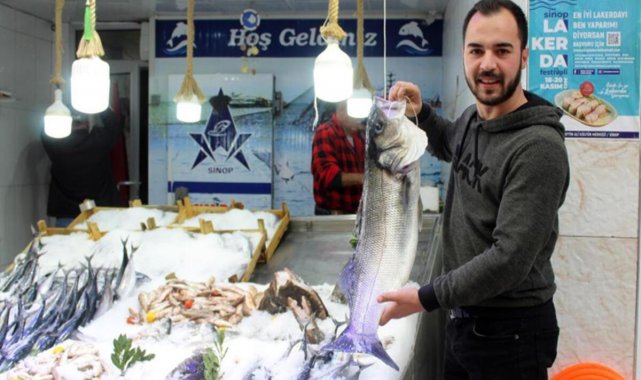 7 kilo geldi! Fiyatıyla şaşırtan balık