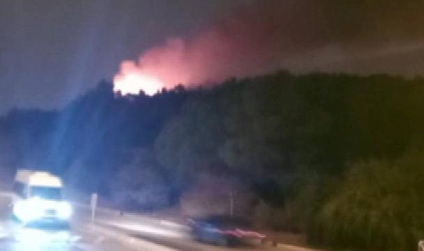 Aydos Ormanı'nda yangın
