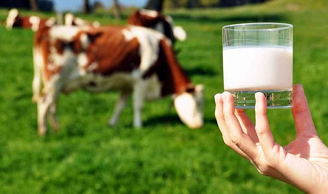 Çiğ süt destekleme ödemesi yatırılmaya başladı