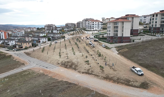 Esentepe Mahallesi'nde 193 fidan toprakla buluştu