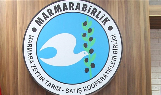 Marmarabirlik yarın ortaklarına 205 milyon lira ödeme yapacak
