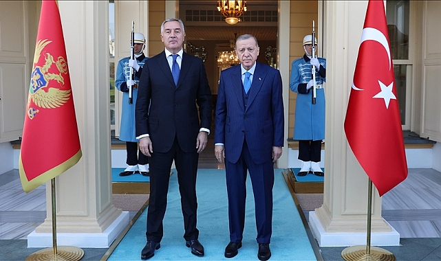 Cumhurbaşkanı Erdoğan, Karadağ Cumhurbaşkanı Djukanovic ile görüştü