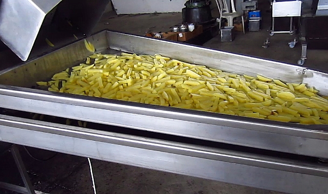 Dondurulmuş soğan ve patates ihracatı kayda bağlandı