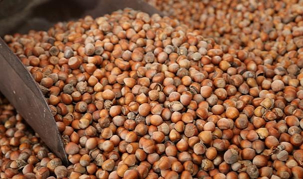 Türkiye fındıktan 3 ayda 538 milyon dolar kazandı