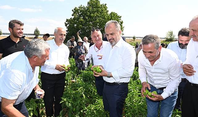 Yenişehir biberine de tescil belgesi