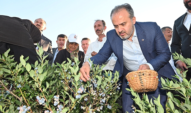 Büyükşehir'in tarlada izi var