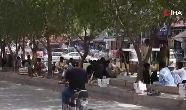 Pakistan'da gizemli solunum yolu hastalığı: 16'sı çocuk 19 ölü
