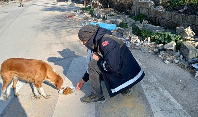 Afet bölgesindeki can dostlara Osmangazi şefkati