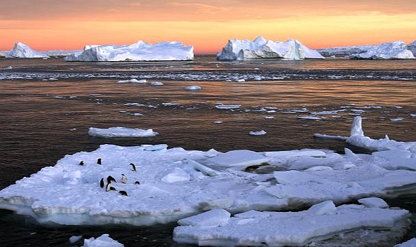Antarktika'da deniz buzu rekor düşük seviyede
