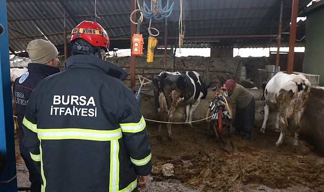 Bursa itfaiyesi gece yangında gündüz ahırda