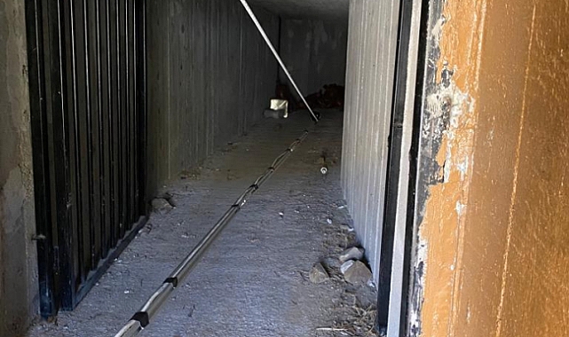 Çubuk kameralar ilk kez 'yaşama' uzandı