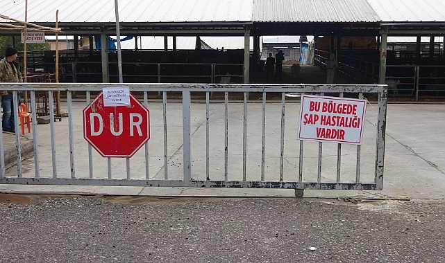 3 şehirde ‘şap’ alarmı: Tüm Türkiye’de izinler iptal edildi