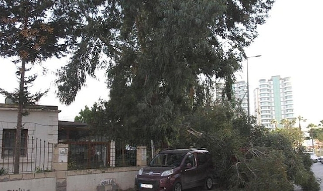Antakya'da rüzgardan devrilen ağacın altında kalan polislerden biri hayatını kaybetti