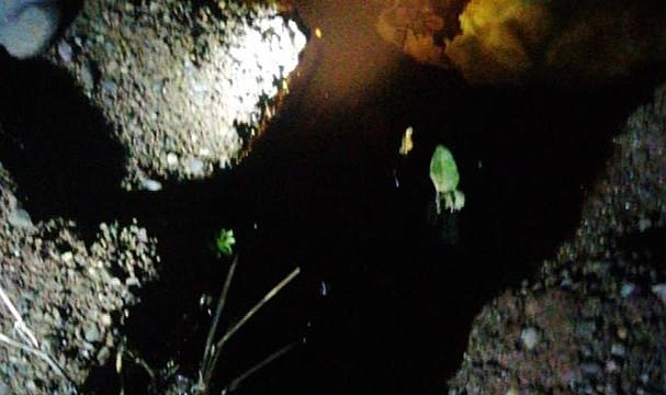 Boru hattından sızan ham petrol Dicle Nehri'ne aktı