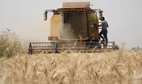 Çiftçilere tarımsal destek ödemeleri bugün yapılacak
