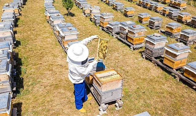 İnegöl Belediyesi 250 adet arı kovanı dağıtacak