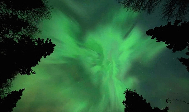 Kuzey ışıkları Alaska'da izleyenleri büyüledi