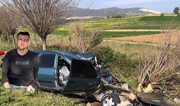 Bursa'da çarptığı ağaç üzerine düştü, feci şekilde hayatını kaybetti