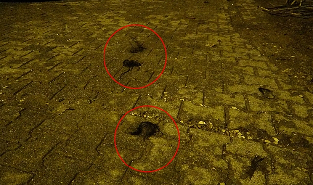 İki kadının kavgasında kopan saçlar sokağa saçıldı: Kavgayı ayırmaya çalışan polis bıçaklandı