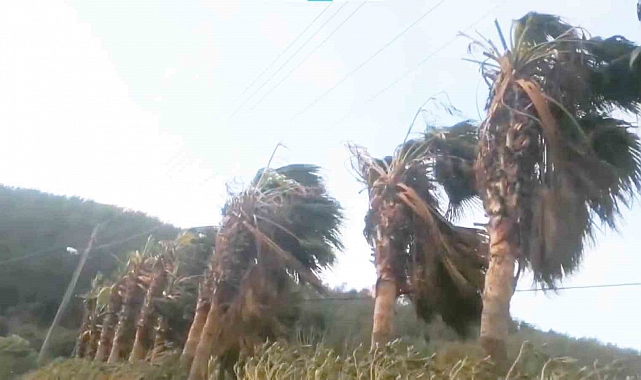 Muğla'ya şiddetli rüzgar uyarısı
