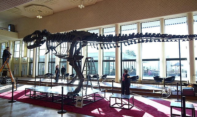 T-Rex iskeleti açık artırmayla 6,2 milyon dolara satıldı