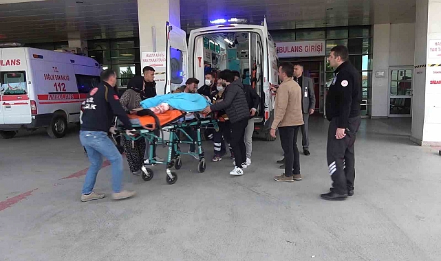 Tarlaya giren hayvan kavgası kanlı bitti: Öldürdüğü gardiyanın kardeşini de ağır yaraladı