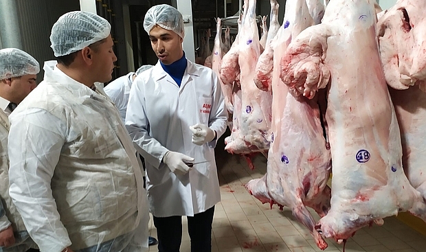 Bakanlık talimat verdi: Kasaplara ve et ürünleri iş yerlerine yönelik denetimler artırıldı