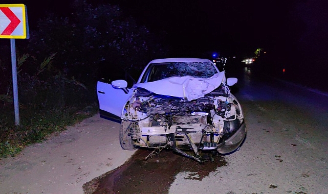 Bursa'da gece yarısı ölümlü kaza