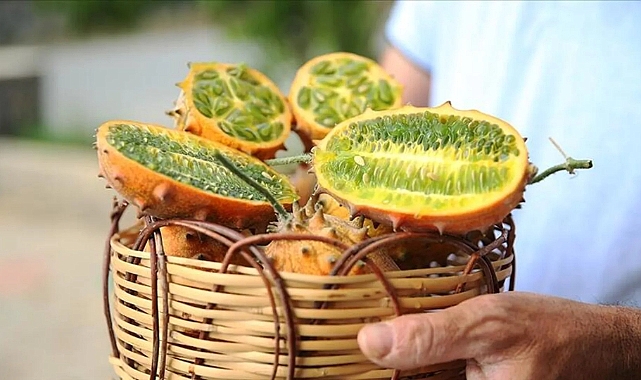 Deneme amaçlı ekti, tanesini 30 liradan satıyor: Tropikal meyve kiwano