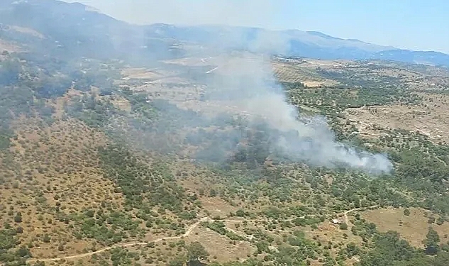 İzmir'de orman yangını