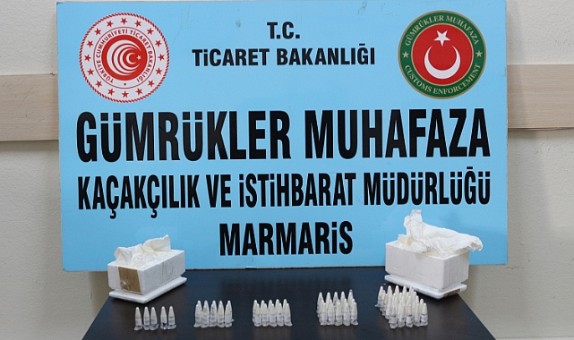 Kargo paketinde 76 tarantula ele geçirildi