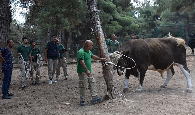 'Kurban yakalama timi' göreve hazır
